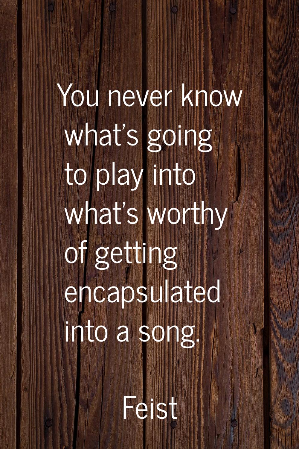 You never know what's going to play into what's worthy of getting encapsulated into a song.