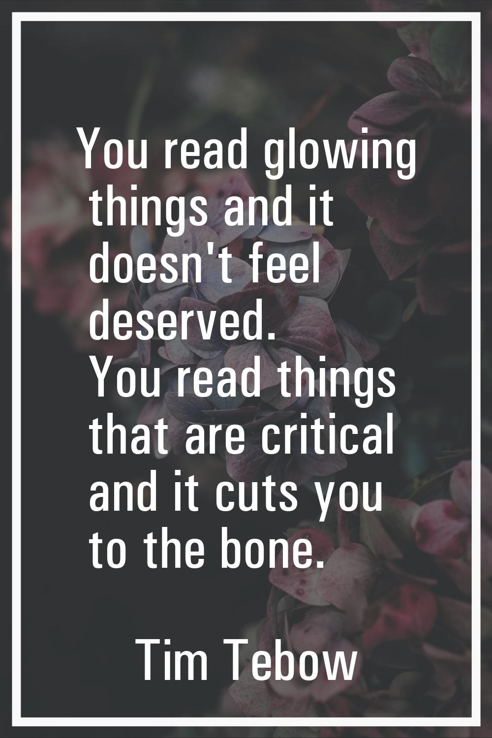 You read glowing things and it doesn't feel deserved. You read things that are critical and it cuts