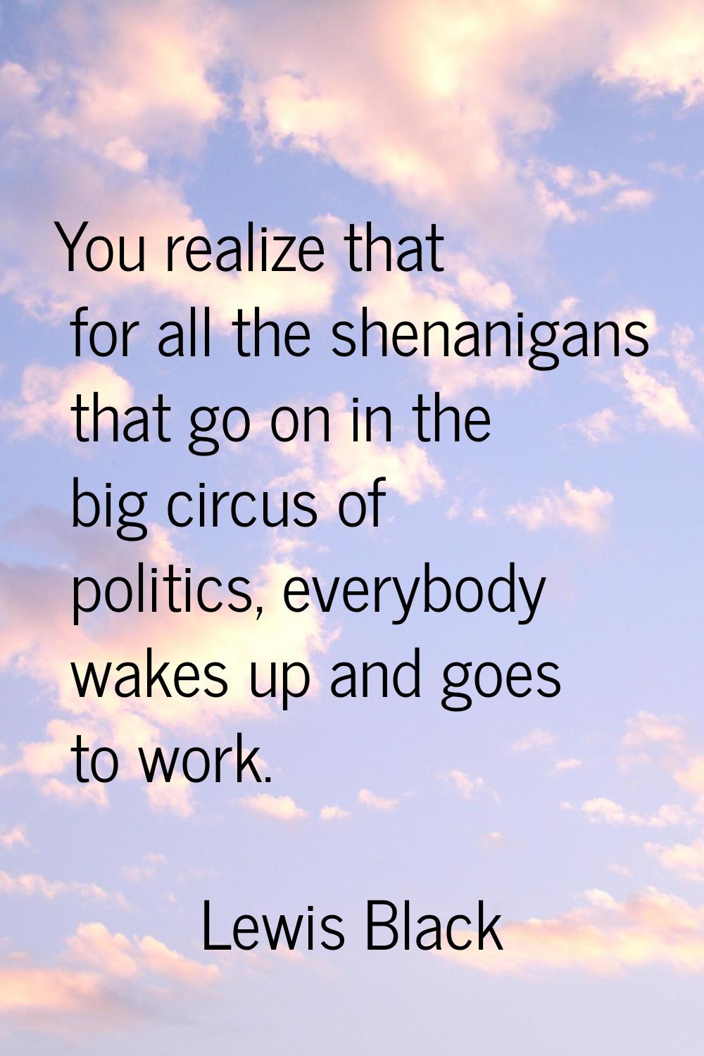 You realize that for all the shenanigans that go on in the big circus of politics, everybody wakes 