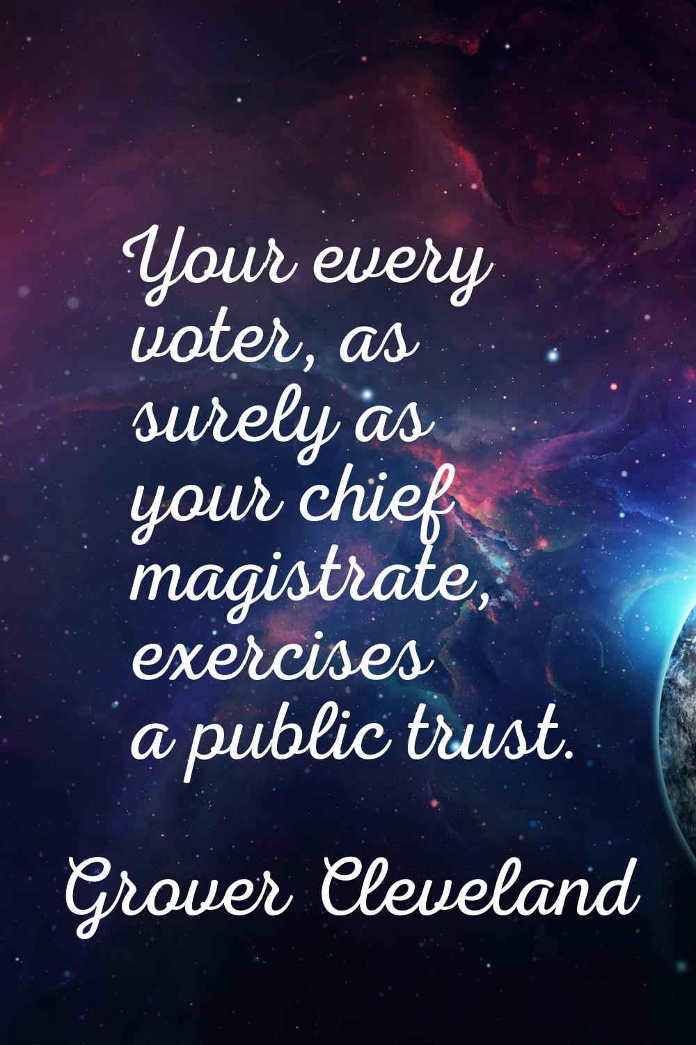 Your every voter, as surely as your chief magistrate, exercises a public trust.