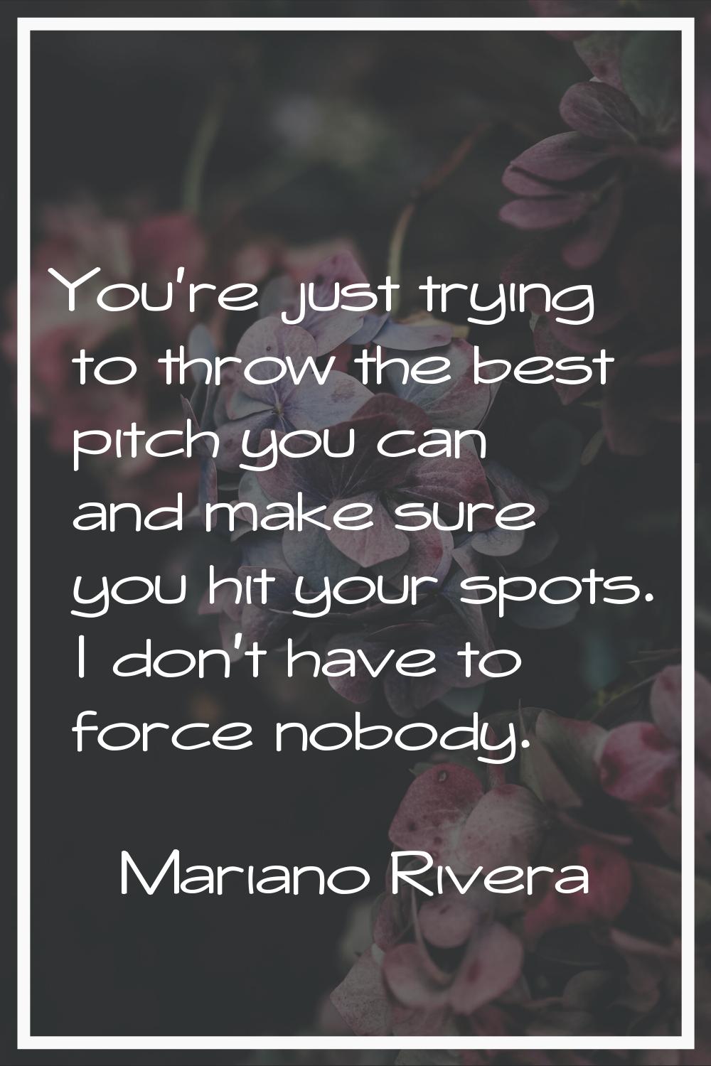 You're just trying to throw the best pitch you can and make sure you hit your spots. I don't have t