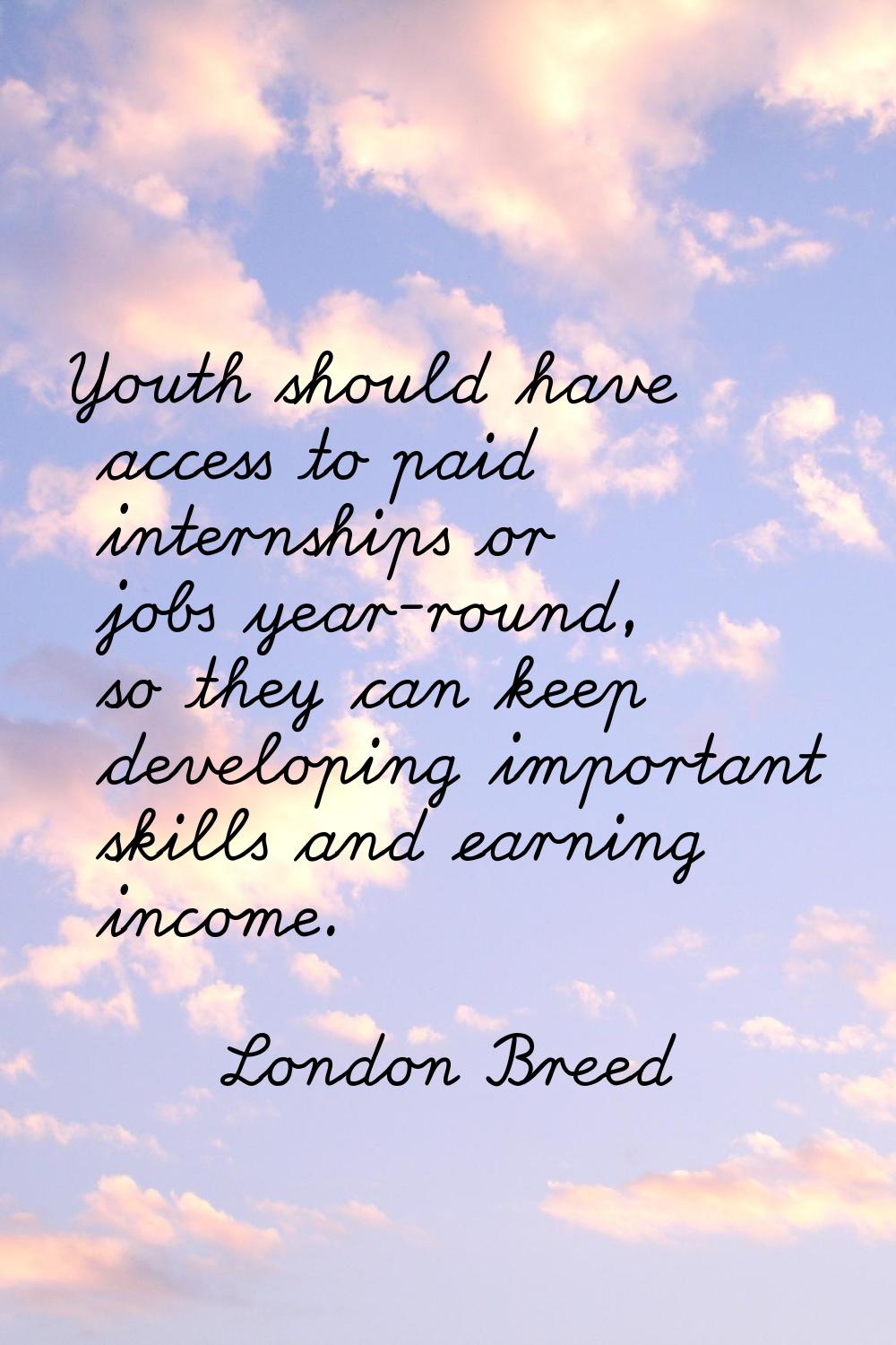 Youth should have access to paid internships or jobs year-round, so they can keep developing import